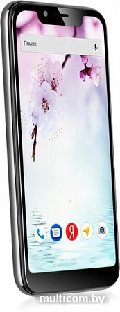 Смартфон Fly View Max (графит)