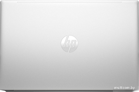 Ноутбук HP ProBook 455 G10 9G1Z7ET_16G