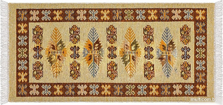 Ковер для жилой комнаты Shahintex Etno Icarpet 120x180 001 455436 (янтарь)