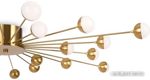 Припотолочная люстра Freya Celebrity FR5242CL-24BS