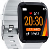 Умные часы Smarterra FitMaster Aura PRO (черный/серый)