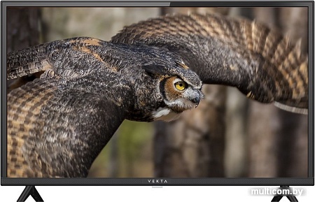 Телевизор Vekta LD-40SF4113BT