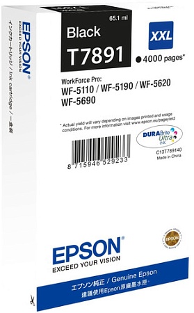 Картридж Epson C13T789140