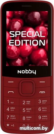 Мобильный телефон Nobby 220 (вишневый)