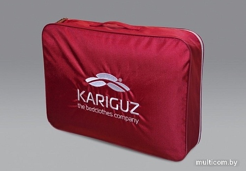 Спальная подушка Kariguz Био Тенсель 3БТ15-3 (50x68 см)