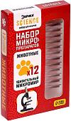 Набор для опытов Эврики Набор микропрепаратов. Животные 7670831