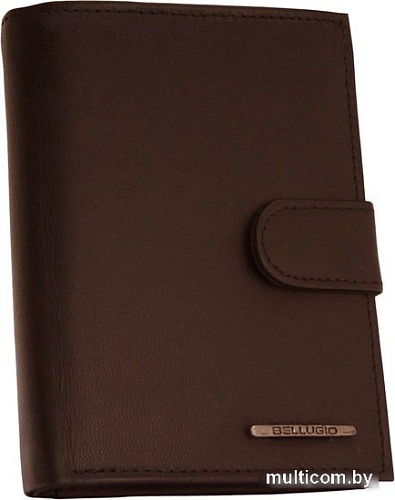 Кошелек Bellugio ZM-02-123A (коричневый)