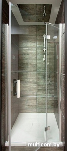 Душевая дверь Omnires Manhattan ADP14X LUX-T