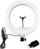 Кольцевая лампа SmartBuy SBL-TTL-14