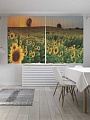 JoyArty Край подсолнухов p_8250 (145x180)