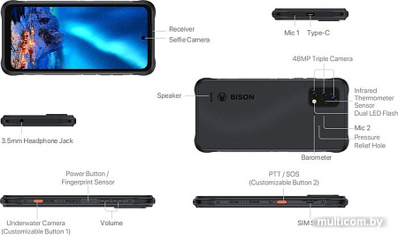 Смартфон Umidigi Bison 2 Pro 8GB/256GB (черный)