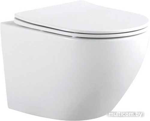 Унитаз Aquanet Rimless Cetus 2.0 W LX-1901