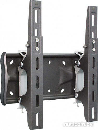 Кронштейн Holder LCDS-5028