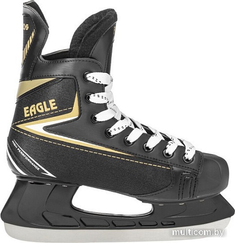 Хоккейные коньки Ricos Eagle PW-206AJ (р.43, черный)