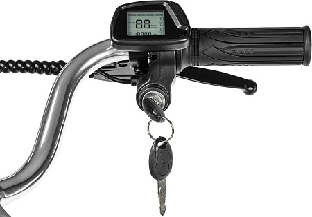 Электровелосипед MyWay Truck 1.0 350 20 (15, черный)