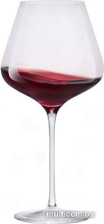 Набор бокалов для вина Stolzle Quatrophil Burgundy 2310000-2