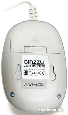 Датчик Ginzzu HS-S39W2