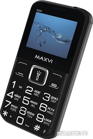 Кнопочный телефон Maxvi B200 (черный)