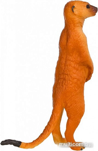 Фигурка Masai Mara Мир диких животных. Сурикат MM211-177