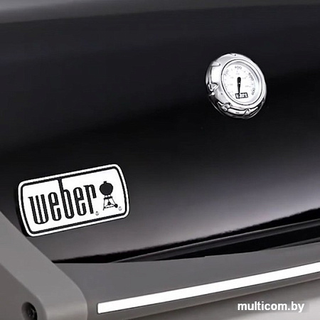 Гриль Weber Spirit E-320 Original GBS