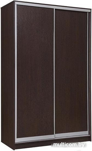 Шкаф-купе Рэйгрупп 138450 VVX Elgon РГ-11.03 (венге/венге/хром)