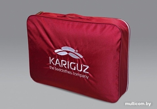 Спальная подушка Kariguz Био Тенсель 3БТ15-5 (68x68 см)