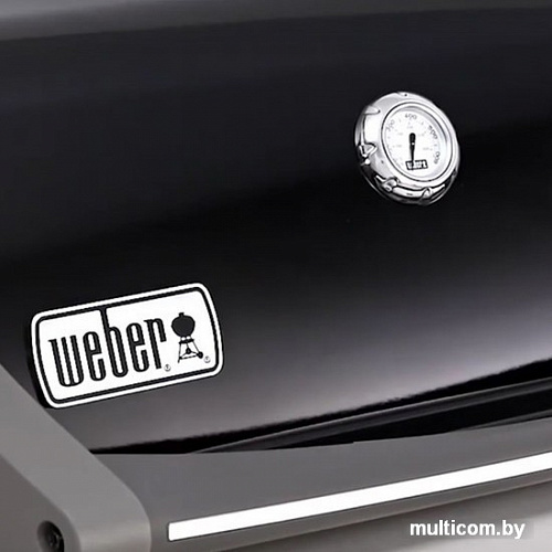 Гриль Weber Spirit E-320 Original GBS