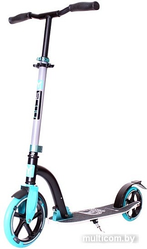 Самокат Y-Scoo RT Slicker Family Design 230 (голубой)
