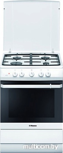 Кухонная плита Hansa FCGW62027