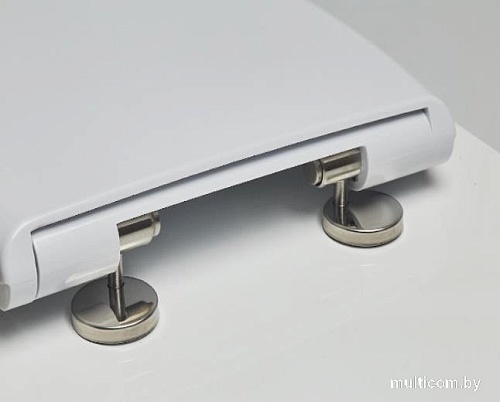 Сиденье для унитаза Saniteco SD 18ms (с микролифтом)