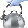 Чайник со свистком Rondell Ball RDS-495