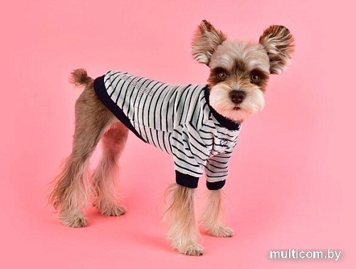 Свитер для животных Pinkaholic Hash NASD-TS7503-NY-S (синий)