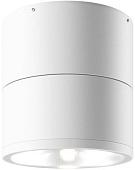 Уличный накладной светильник Maytoni Spin O310CL-L12W3K