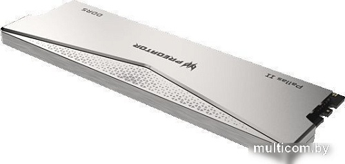 Оперативная память Acer Predator Pallas II 2x16ГБ DDR5 6000 МГц BL.9BWWR.374