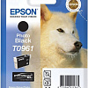 Картридж Epson C13T09614010