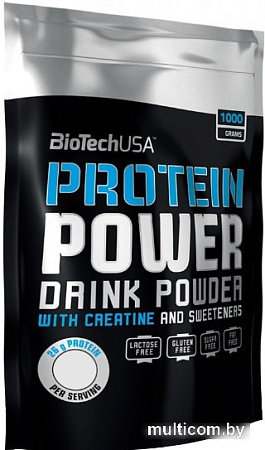 BioTech USA Protein Power (шоколад, 1000 г)