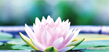 Корзина JoyArty Лотос на воде gaba_2642_L