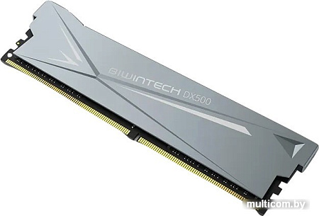 Оперативная память Biwin DX500 8ГБ DDR4 3600 МГц B14BU8G53618CR-GAL#A