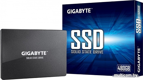 SSD Gigabyte 1TB GP-GSTFS31100TNTD