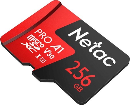 Карта памяти Netac P500 Extreme Pro 256GB NT02P500PRO-256G-S