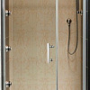 Душевая дверь Omnires S-100D