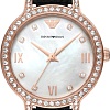 Наручные часы Emporio Armani AR11485
