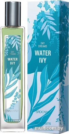 Brocard Water Ivy EdT (55 мл)