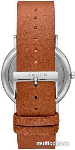 Наручные часы Skagen SKW6578