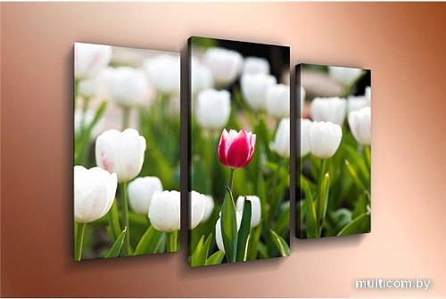 Модульная картина Arthata m-000473 120x80