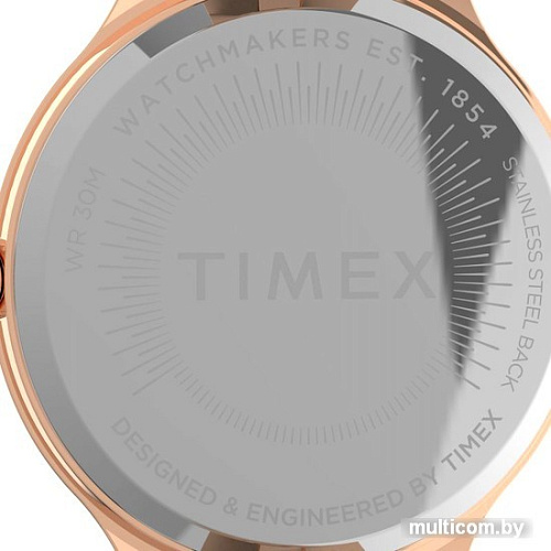 Наручные часы Timex TW2V06300