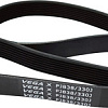 Ремень Белмаш 8PJ838 RR009