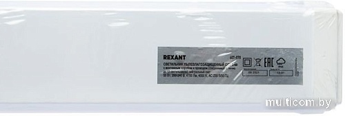 Линейный светильник Rexant ССП IP65 55Вт 185-265В 4000K нейтральный свет 1,2м 607-070