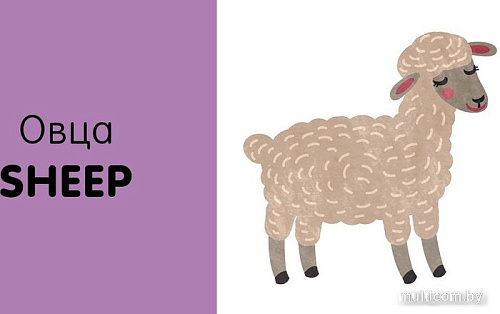 Набор книг издательства Clever. Познаем мир вместе. Английский язык. Животные (Уткина Ольга)