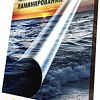 Расходные материалы для ламинаторов и брошюровщиков Starbind 216x303 100мкм PL216303M100 (100шт, матовая)